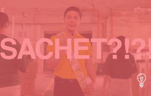 Palawan Group of Companies