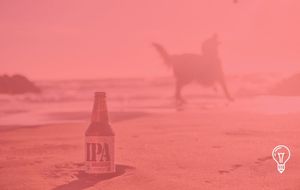 Lagunitas & TikTok Shop