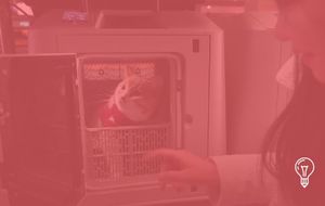 China Railway Express Co., Ltd.