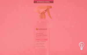 Garnier's Micellar Master Clean All-in-1