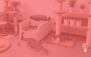 When Pet Care Meets Algorithmic Intelligence