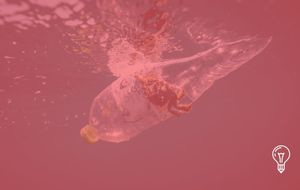 Translating Science into Action