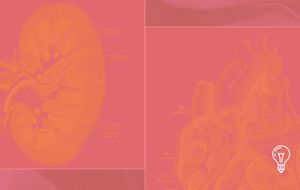 R3 Bio and the Bioethics of Engineered Organ Sacks