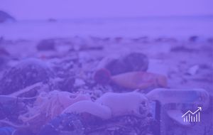 Toy Waste Crisis