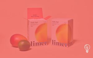 LIMERIME: The Invisible Dependency