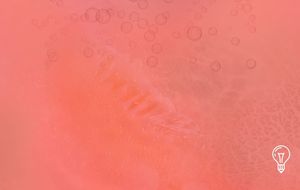 Givaudan: Scent as a Time-Released Sign