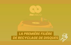 ReDisco: The Second Life of the Record