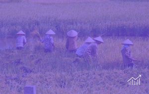 Carbon Markets Scale Through 175,000 Smallholder Farmers