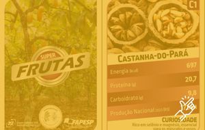 University of São Paulo: Super Frutas