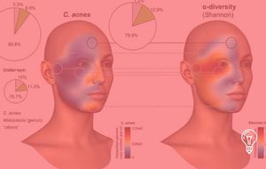 DSM-Firmenich: The Skin as Datafied Terrain