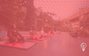 Hamad International Airport: Twenty Minutes to Recover Between Flights
