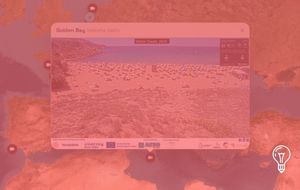 World Watcher: Channel Surfing the Planet