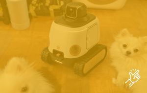 WIM-Z: A Pet Robot That Rewards Dogs for Staying Calm