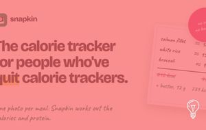 Snapkin: A Photo Turns Meals Into Calorie Data