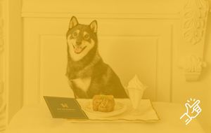 K9 Resorts: Pet Boarding With Chauffeurs and Fine Dining