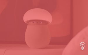 OKA: A Robot for Solo Living