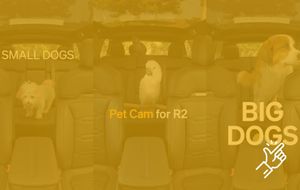 Rivian: A Live Camera Feed for Pets Inside the R2