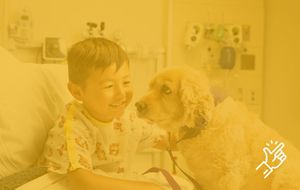 São João Hospital: Patients Can Receive Visits From Their Pets