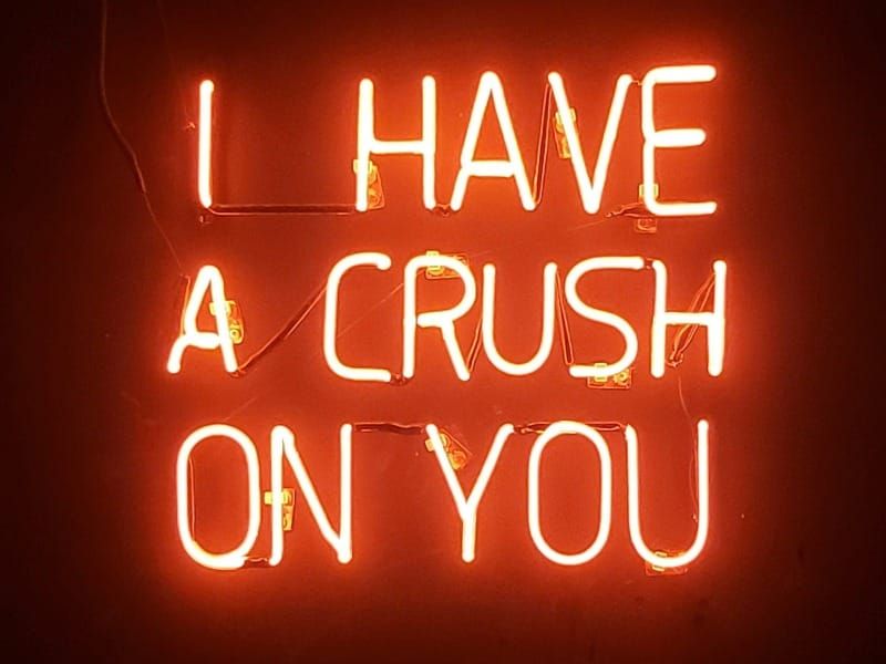 “Stalk Me to the End of Love”