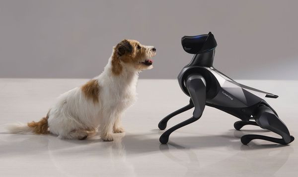 Coded Heartbeats and Ghostly Whimpers