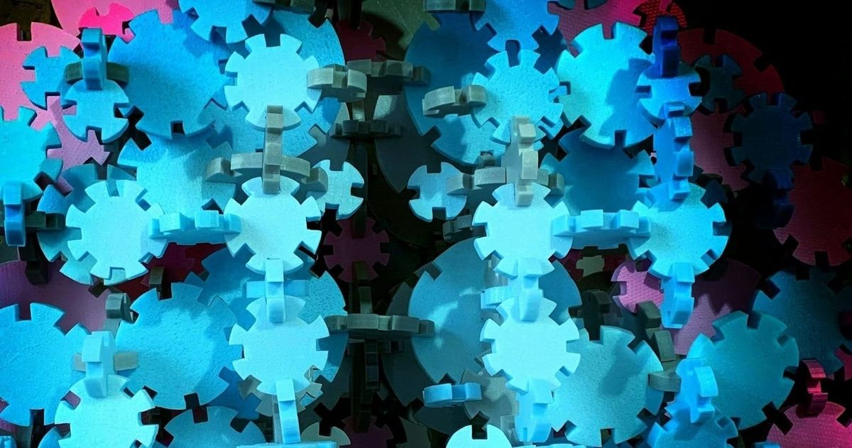 The Cognitive Gearbox: How Successful High Growth Leaders Avoid Organisational Stalling