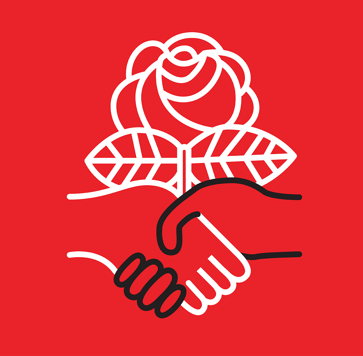 A democratic socialists logo design featuring a handshake with black and white hands and a rose in the background.