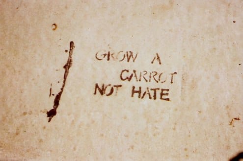 Stencilled graffiti that says "grow a carrot not hate."