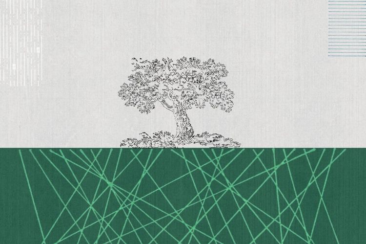Digital roots