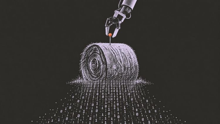 Needle in the haystack