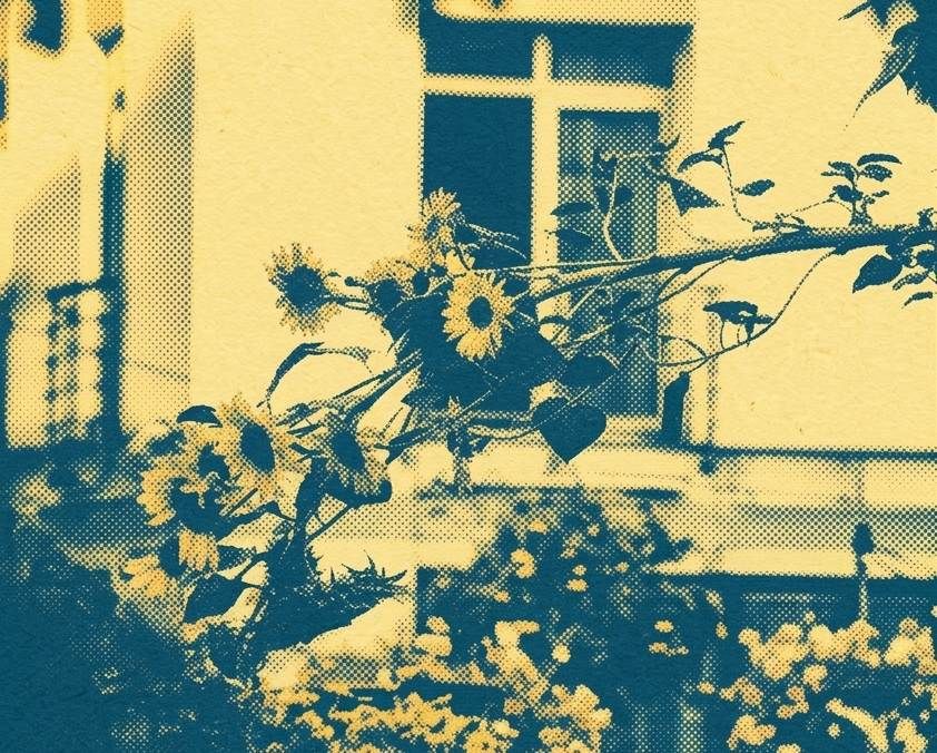 Patience, grasshopper