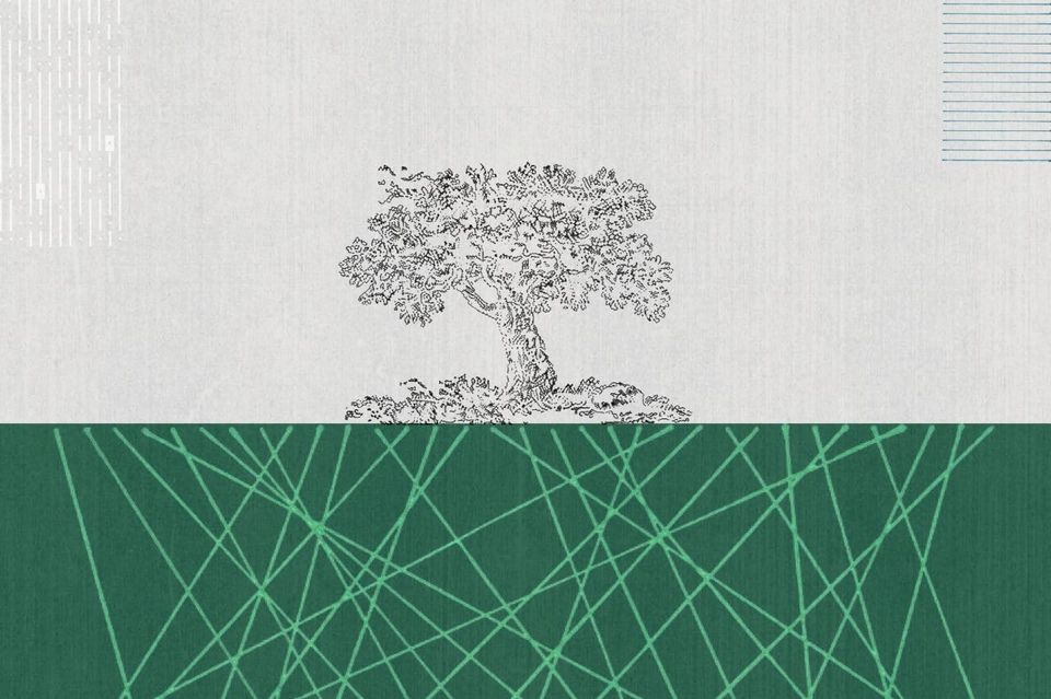 Digital roots