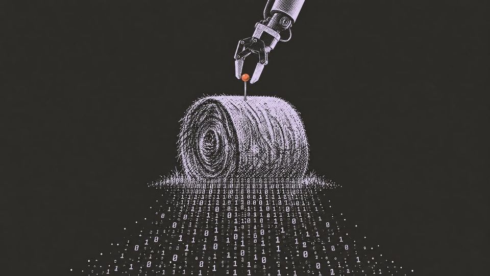 Needle in the haystack