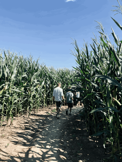 wenn Jesus dir den Rücken zukehrt