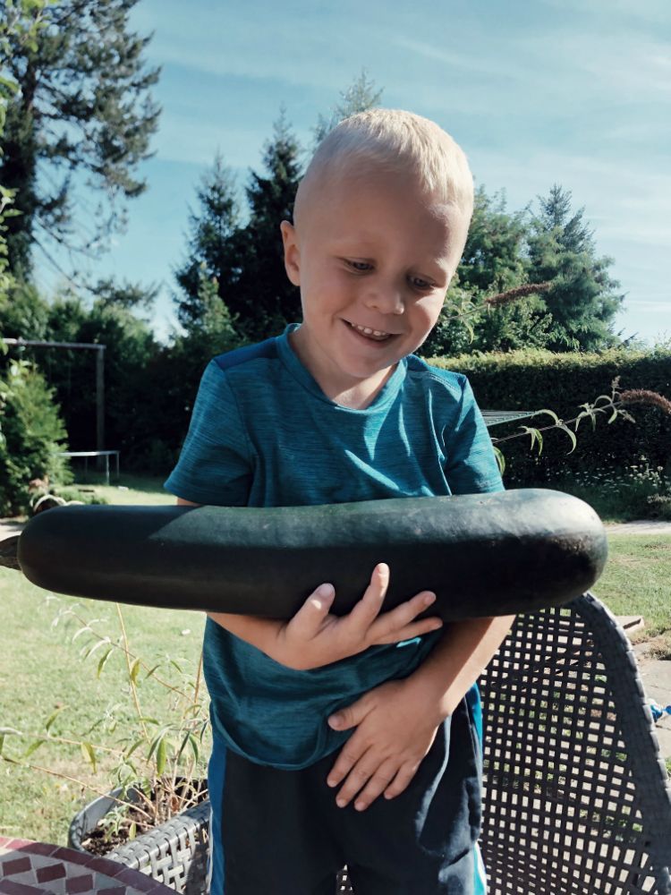 Da, wo du gepflanzt bist