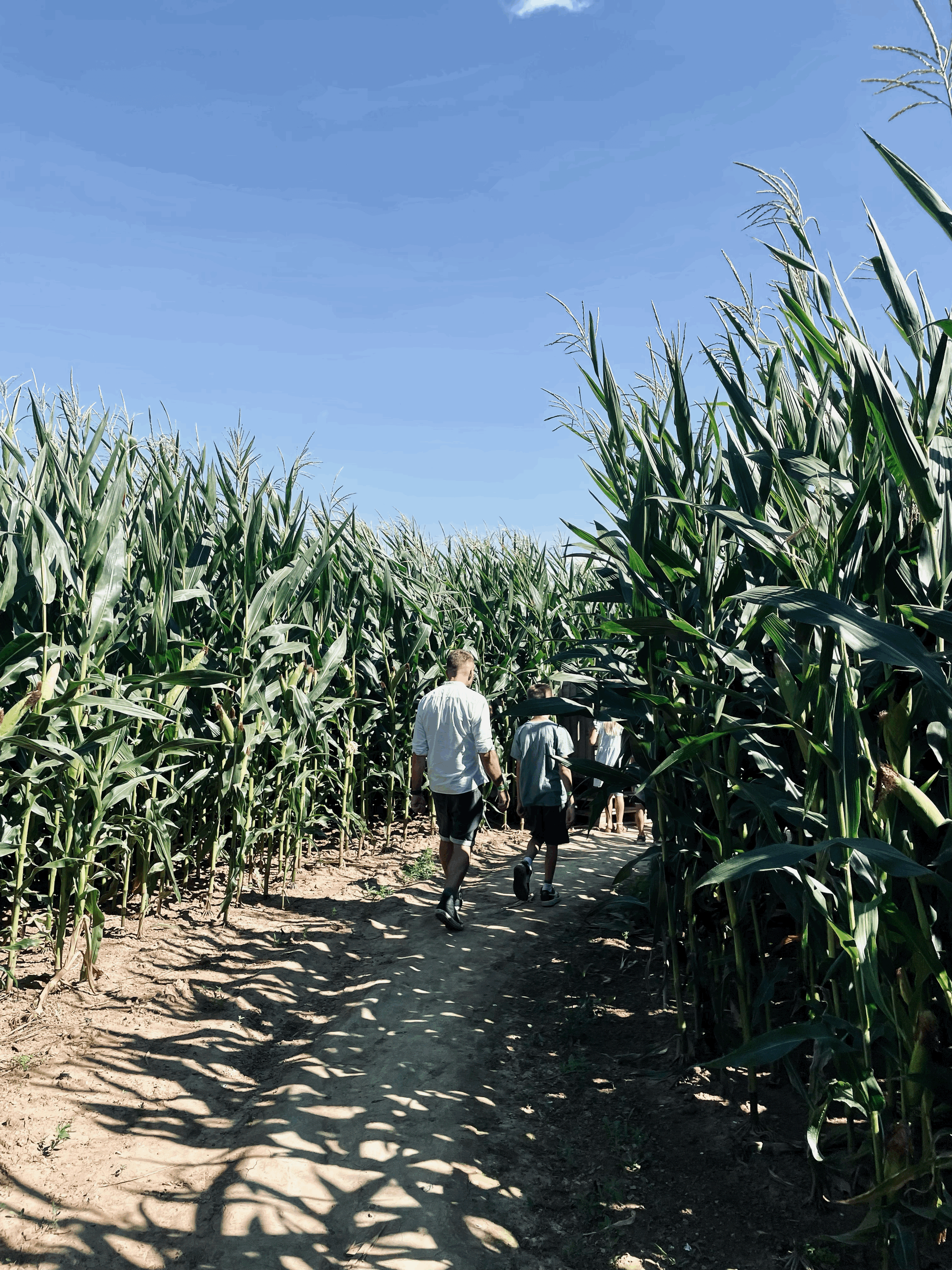 wenn Jesus dir den Rücken zukehrt