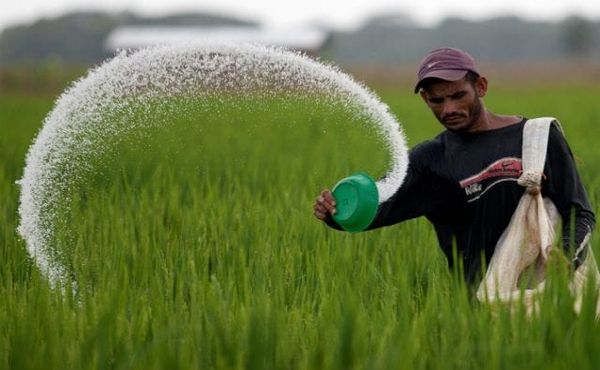 Fertilizantes, la crisis silenciosa