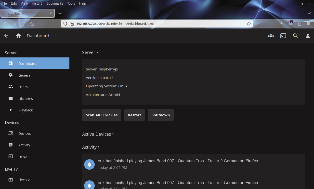 b04_jellyfin-dashboard_ENG.tif