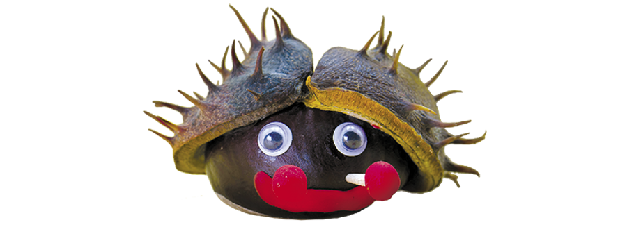 Shells made into funny face