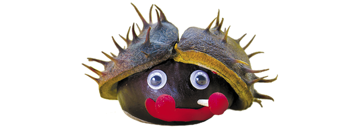 Shells made into funny face