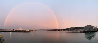 *Dopamine for a New World