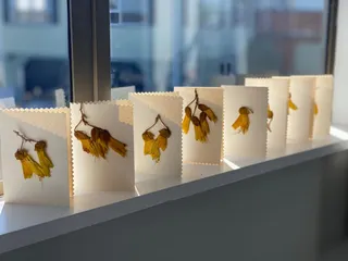 The seasons keep turning