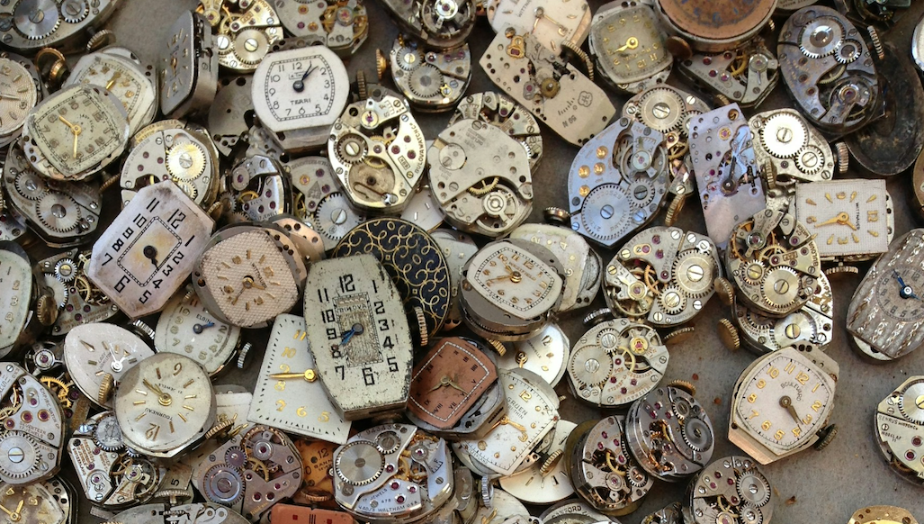 Unlocking the brain's timekeepers: Clock genes