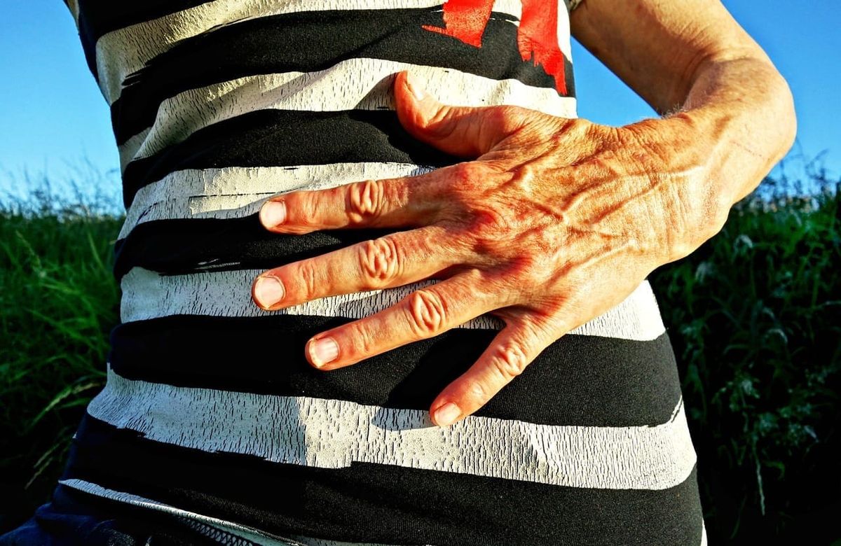 Fecal transplant as painkiller? Gut microbiota and fibromyalgia part II