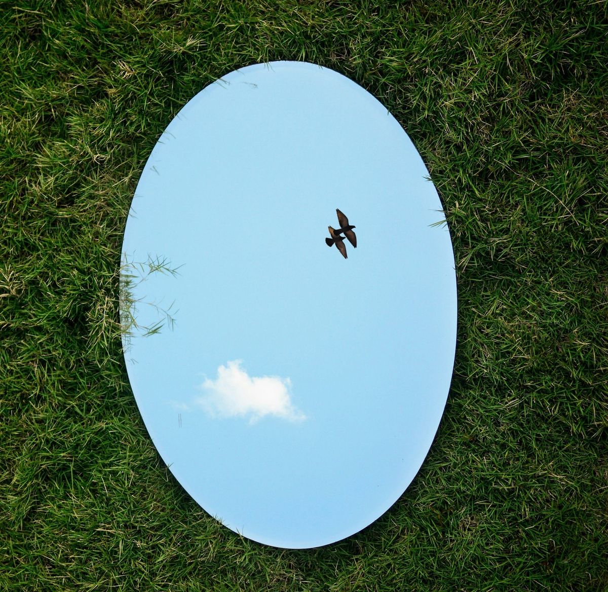 What happens when your mind goes blank, when the mind truly goes silent?