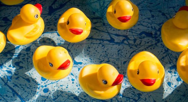 How did that get in there? Microplastics in our brains