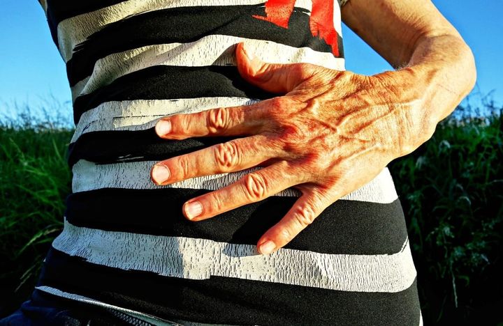 Fecal transplant as painkiller? Gut microbiota and fibromyalgia part II