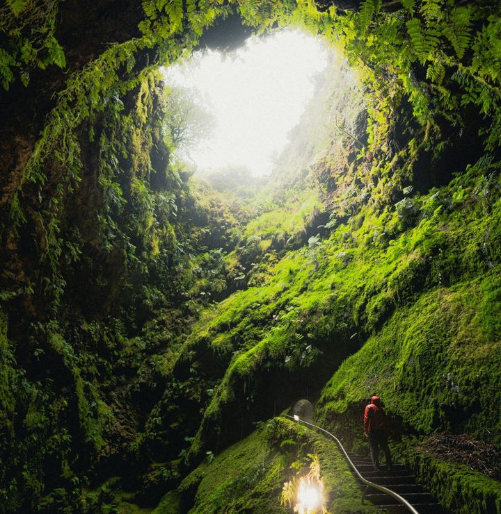 Longevity: Senotherapy for Parkinson's Disease