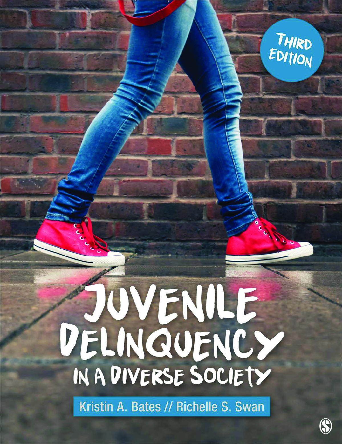 eBook PDF Juvenile Delinquency in a Diverse Society 3rd Edition By Kristin Bates, Richelle Swan