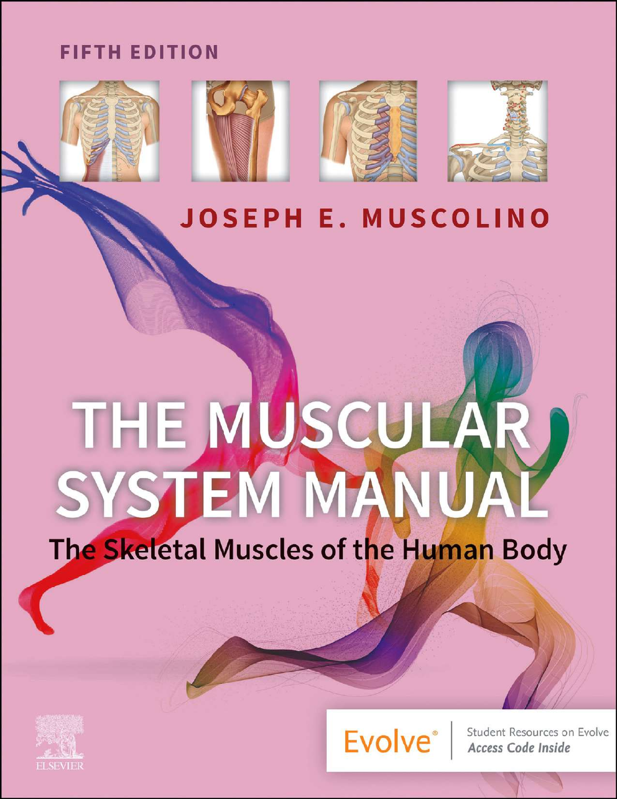 eBook EPUB PDF The Muscular System Manual Skeletal Muscles of the Human Body 5th Edition By Joseph Muscolino