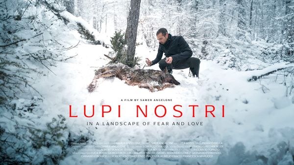 Weltpremiere von «Lupi Nostri – Unsere Wölfe» am Docville Film Festival